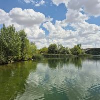!  ELAGÖZLÜM - Site Yonetici